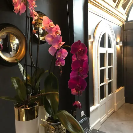L'hotel Particulier 3* أراس