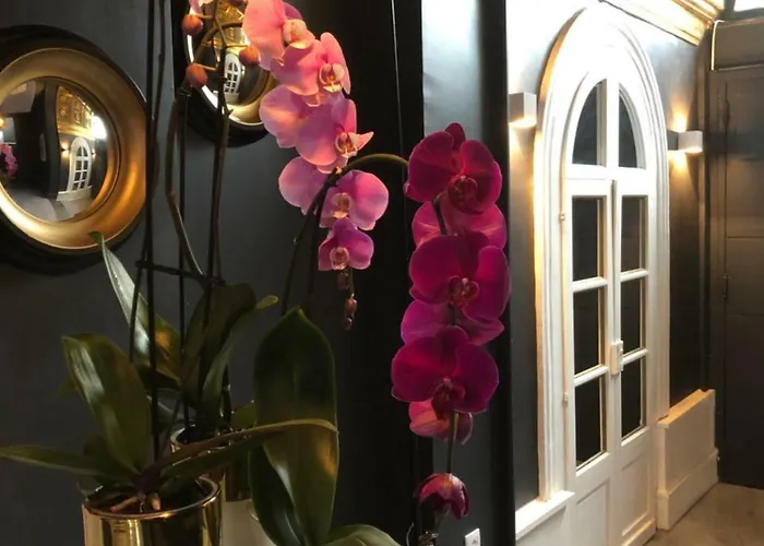 L'hotel Particulier 3* Arras